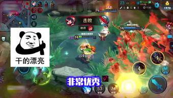 王者龙蛋最新爆料视频